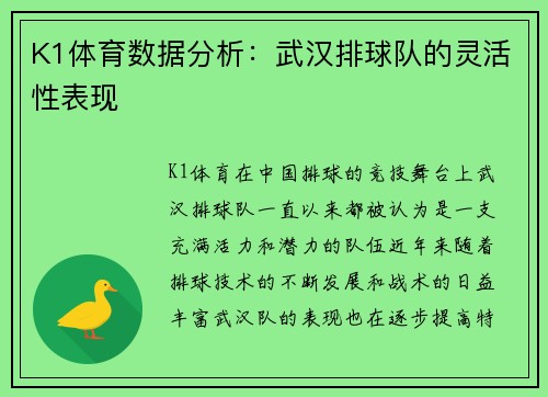 K1体育数据分析：武汉排球队的灵活性表现